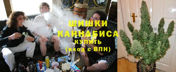 MESCALINE Аркадак